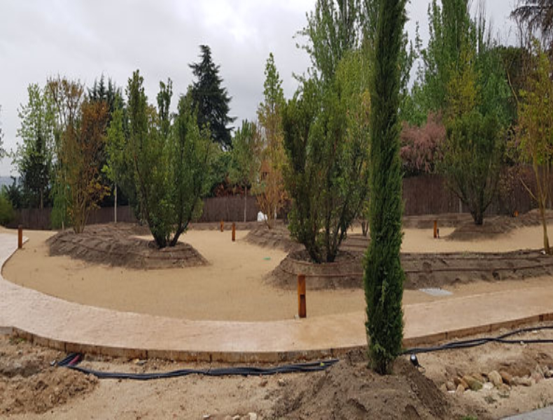 Proyecto nuevo (46)