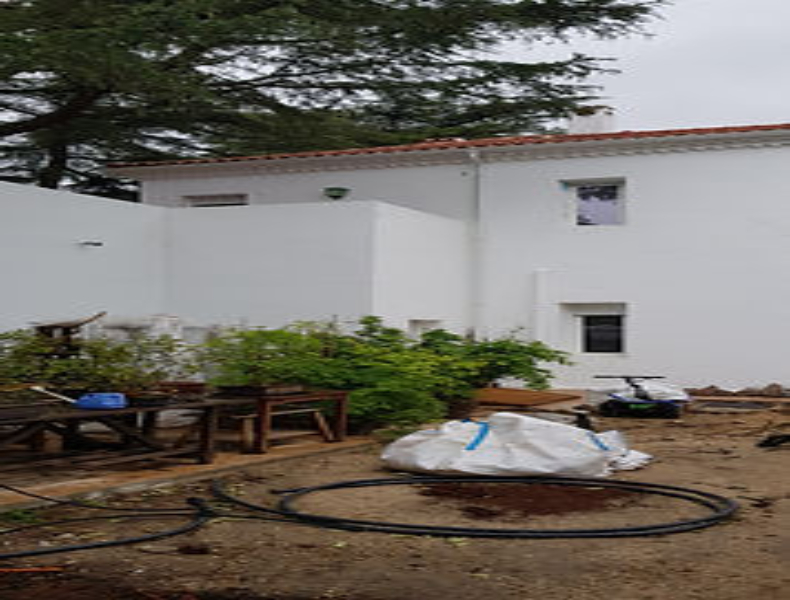 Proyecto nuevo (49)