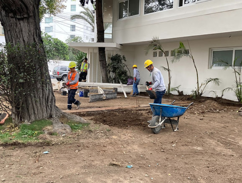 Proyecto nuevo (56)