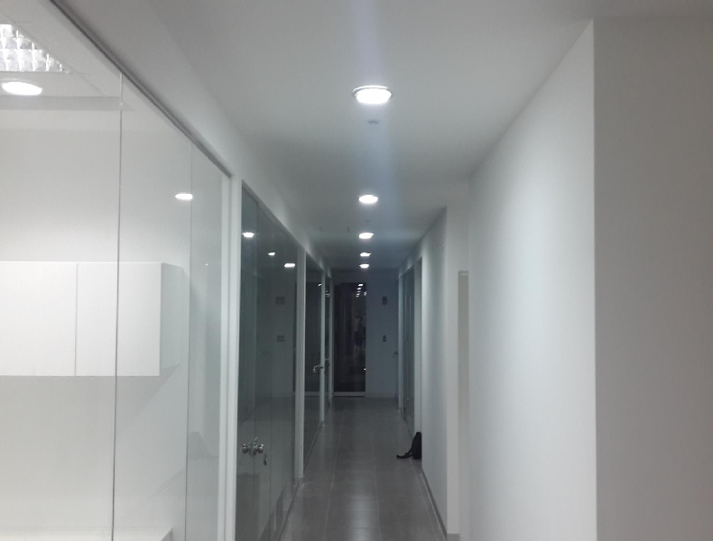Proyecto nuevo (30)